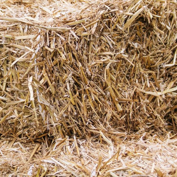lots of hay