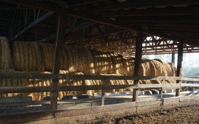 The Benefits of Straw and Hay as good insulators