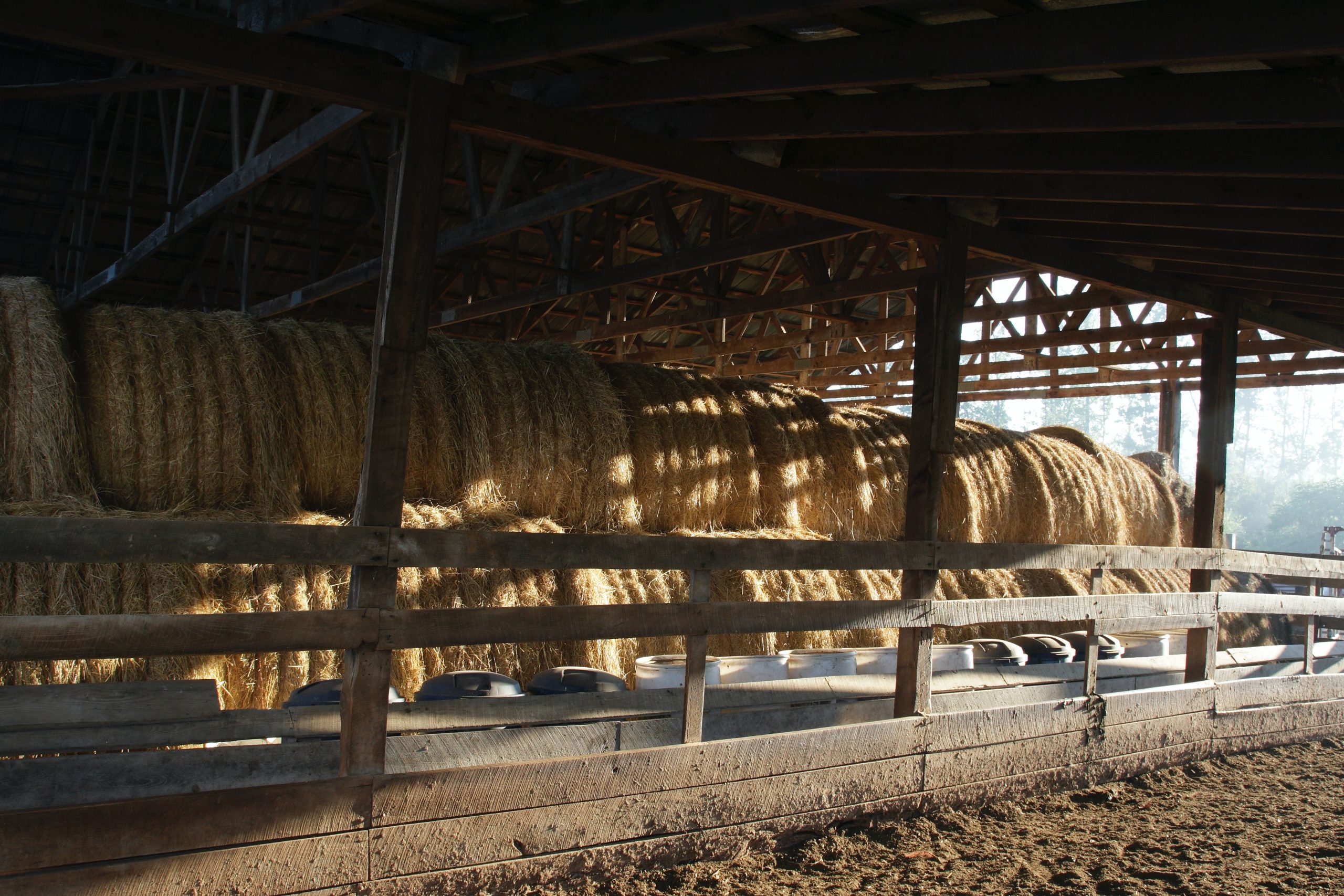 The Benefits of Straw and Hay as good insulators Baled