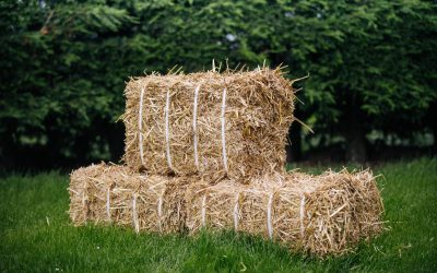 How Much Hay to Feed Your Horse